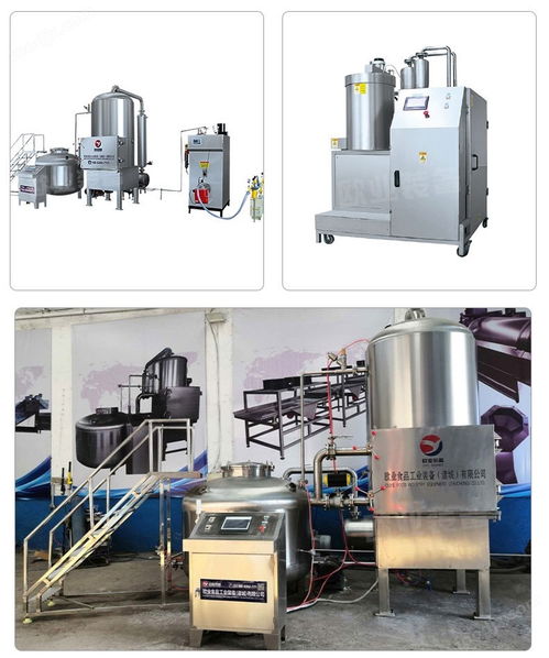 秋葵脆油炸設(shè)備 脆棗真空油炸機(jī) 全自動(dòng)低溫真空油炸機(jī)