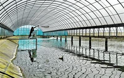 綠色農業,迎來發展新契機